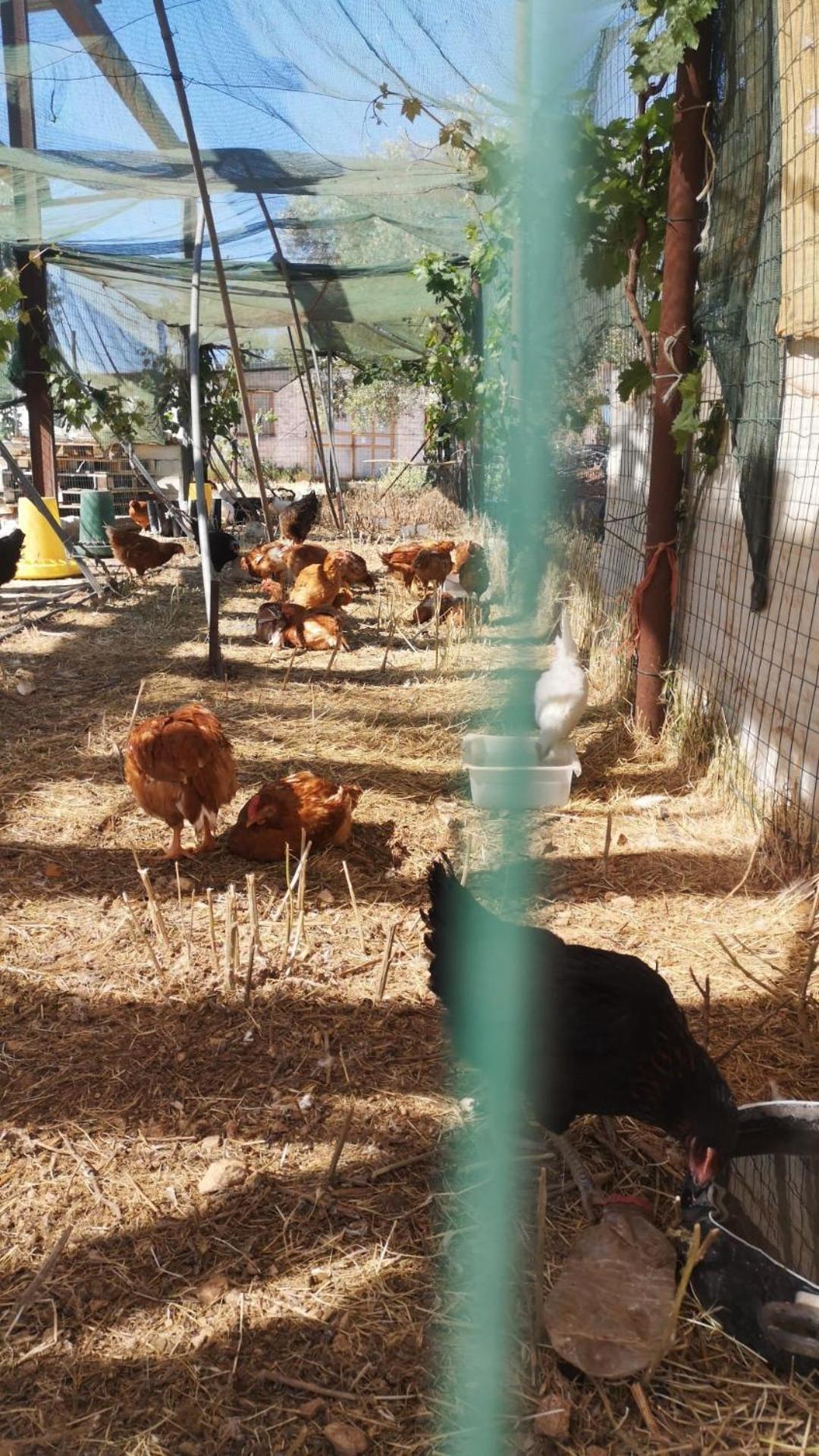 토리토 Agriturismo Armienti 빌라 외부 사진