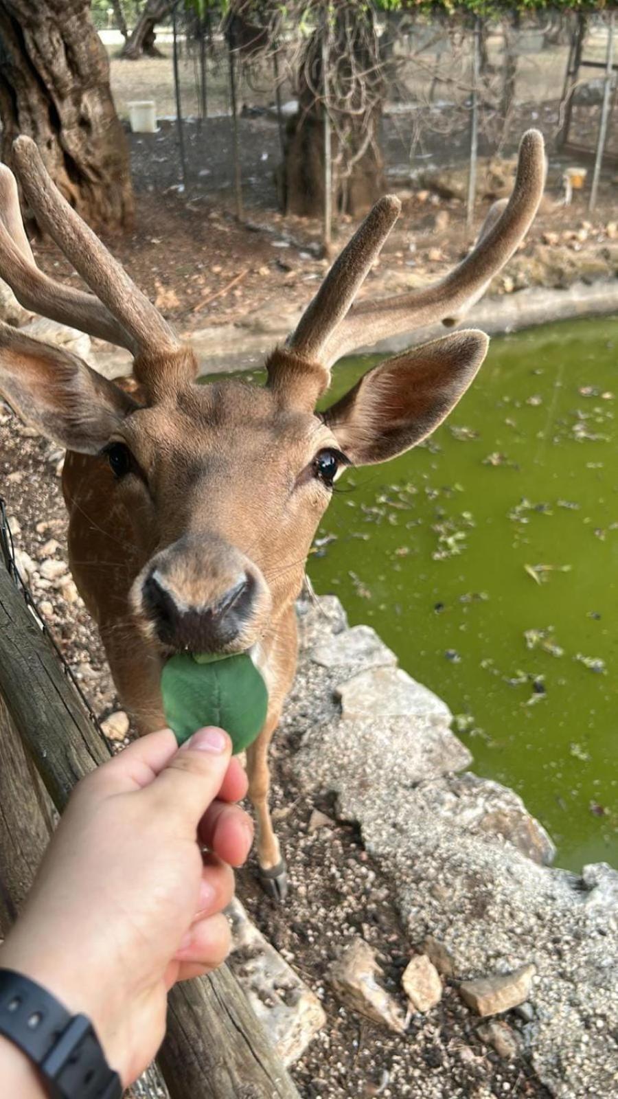 토리토 Agriturismo Armienti 빌라 외부 사진